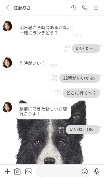 [LINE着せ替え] ICON DOG - ボーダーコリー - GRAY/03の画像3