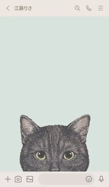 [LINE着せ替え] ICON CAT - アメショ - PASTEL GR/03の画像2