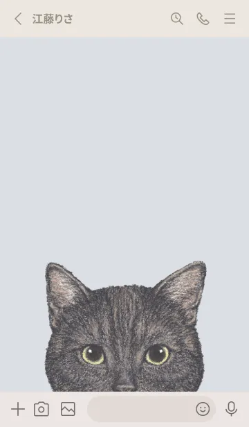 [LINE着せ替え] ICON CAT - アメショ - PASTEL BL/03の画像2