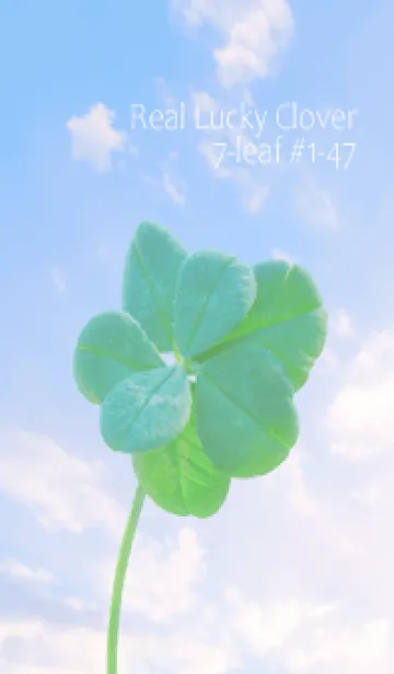 [LINE着せ替え] 本物ラッキークローバー 7-leaf #1-47の画像1