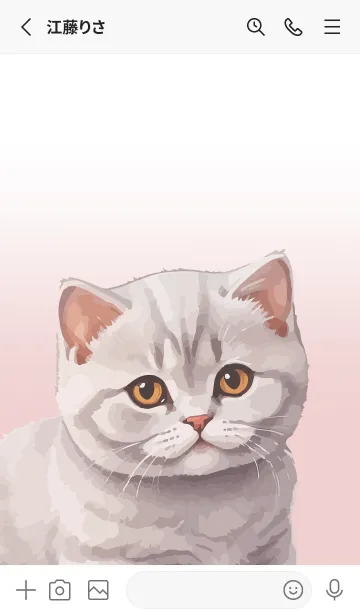 [LINE着せ替え] British Shorthair Cat Theme (JP)の画像2