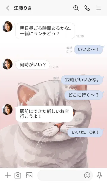 [LINE着せ替え] British Shorthair Cat Theme (JP)の画像3