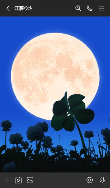 [LINE着せ替え] 七つ葉のクローバー & Full Moon #3-28の画像2