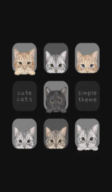 CATS - アメショ - ブラック/グレーの着せ替えメイン画像