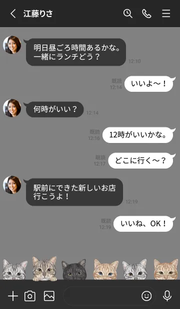 [LINE着せ替え] CATS - アメショ - ブラック/グレーの画像3