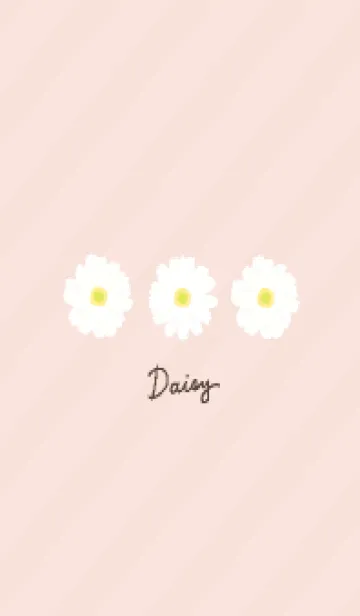 [LINE着せ替え] シンプル マーガレット20の画像1