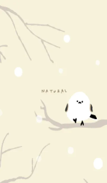 [LINE着せ替え] シマエナガ 雪24の画像1