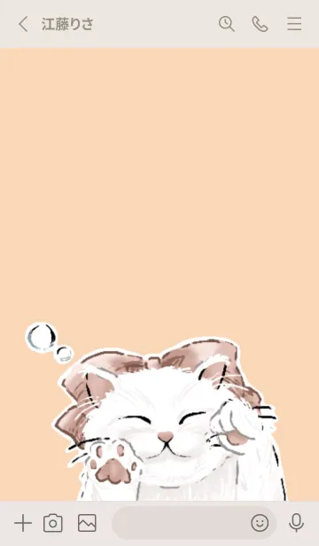 [LINE着せ替え] Sleepy cute catの画像2