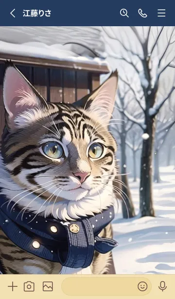 [LINE着せ替え] かわいい雪猫の画像2