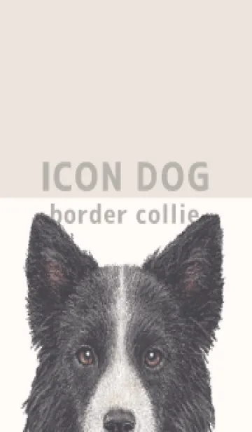 [LINE着せ替え] ICON DOG - ボーダーコリー - BEIGE/03の画像1