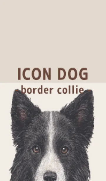 [LINE着せ替え] ICON DOG - ボーダーコリー - BROWN/03の画像1