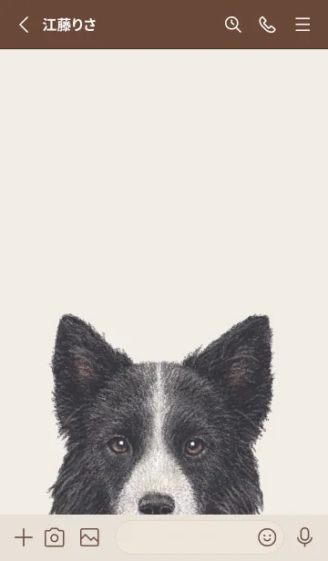 [LINE着せ替え] ICON DOG - ボーダーコリー - BROWN/03の画像2