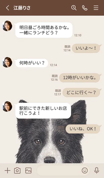 [LINE着せ替え] ICON DOG - ボーダーコリー - BROWN/03の画像3