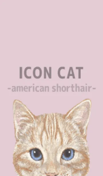 [LINE着せ替え] ICON CAT - アメショ - PASTEL PK/04の画像1