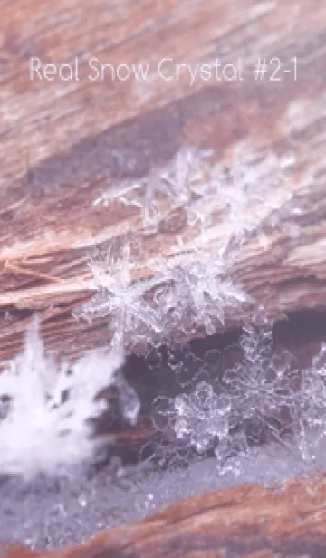 [LINE着せ替え] Real Snow Crystal #2-1の画像1