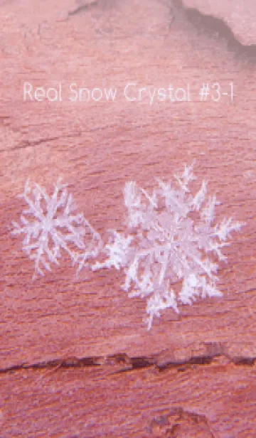 [LINE着せ替え] Real Snow Crystal #3-1の画像1