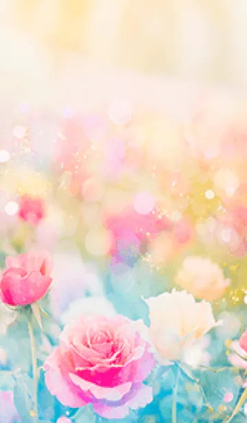 [LINE着せ替え] 薔薇(バラ)の花の着せかえ(R752)の画像1