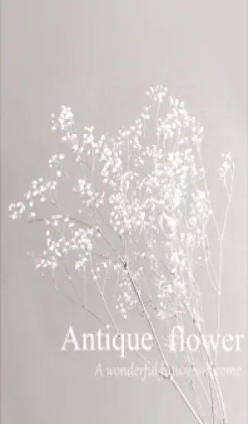 [LINE着せ替え] 癒やしのアンティーク・フラワー・16の画像1