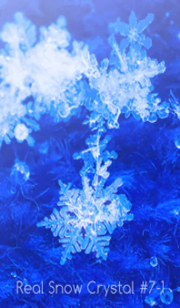 [LINE着せ替え] Real Snow Crystal #7-1の画像1