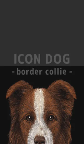 [LINE着せ替え] ICON DOG - ボーダーコリー - BLACK/04の画像1