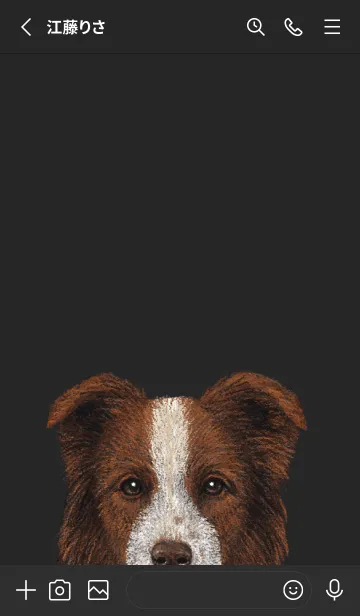 [LINE着せ替え] ICON DOG - ボーダーコリー - BLACK/04の画像2