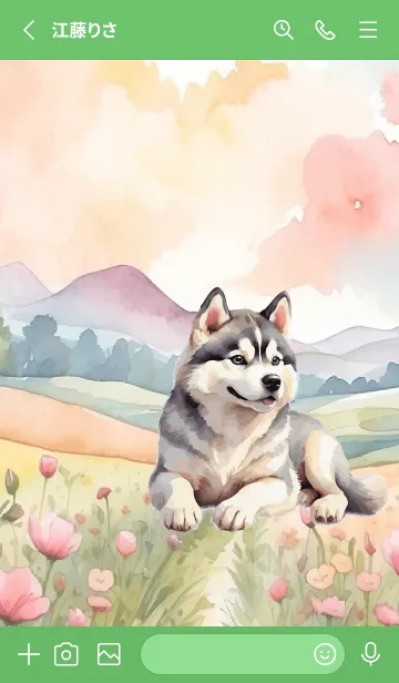 [LINE着せ替え] siberian husky In Flower Theme (JP)の画像2