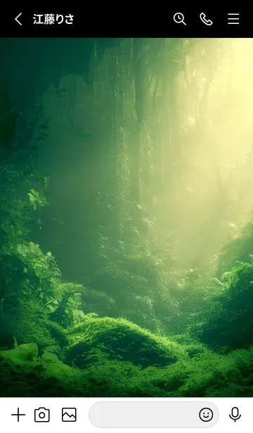 [LINE着せ替え] Beautiful Forest-HEALING 20の画像2