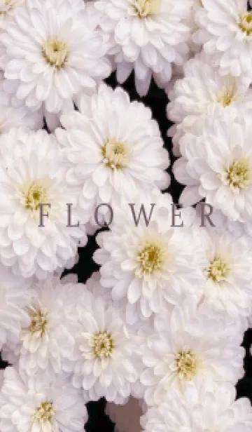 [LINE着せ替え] FLOWER -KIKU- 68の画像1