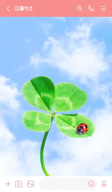 [LINE着せ替え] 本物ラッキークローバー+Ladybird #1-17の画像2