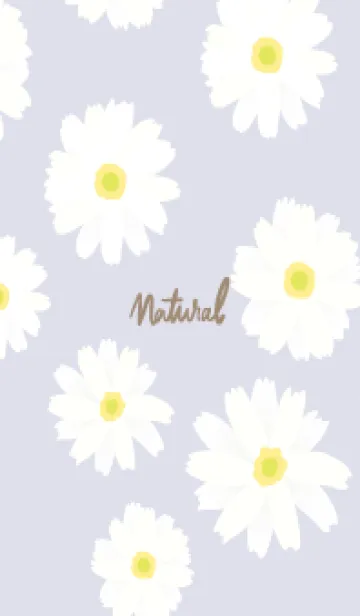 [LINE着せ替え] 白いマーガレット シンプル7の画像1