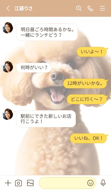 [LINE着せ替え] 癒しわんこのトイプードル（アプリコット）の画像3