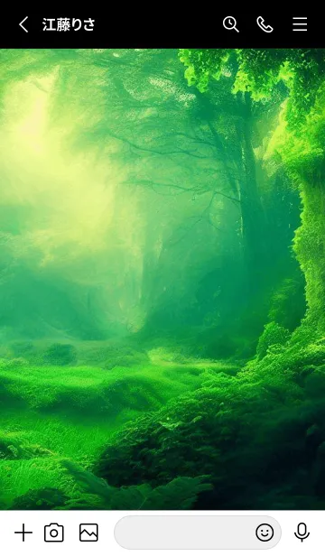 [LINE着せ替え] Beautiful Forest-NATURE 19の画像2