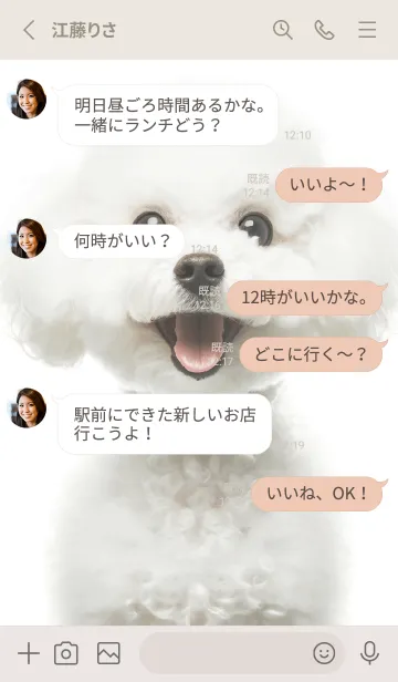 [LINE着せ替え] 癒しわんこのトイプードル（ホワイト）の画像3