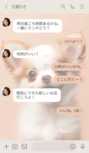 [LINE着せ替え] 癒しわんこのチワワ（ホワイト）の画像3