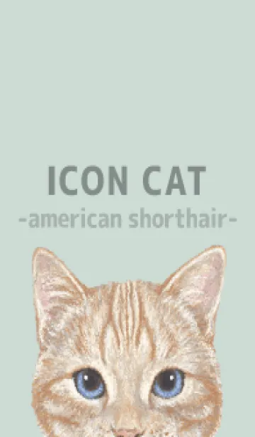 [LINE着せ替え] ICON CAT - アメショ - PASTEL GR/04の画像1