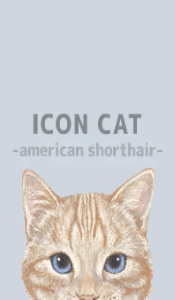 [LINE着せ替え] ICON CAT - アメショ - PASTEL BL/04の画像1