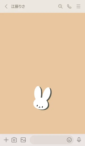 [LINE着せ替え] ホワイト ラビット 268の画像2