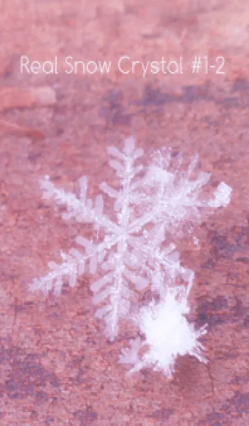 [LINE着せ替え] Real Snow Crystal #1-2の画像1
