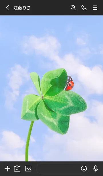 [LINE着せ替え] Real Lucky Clover+Ladybird#2-17の画像2