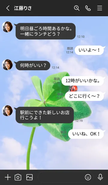 [LINE着せ替え] Real Lucky Clover+Ladybird#2-17の画像3