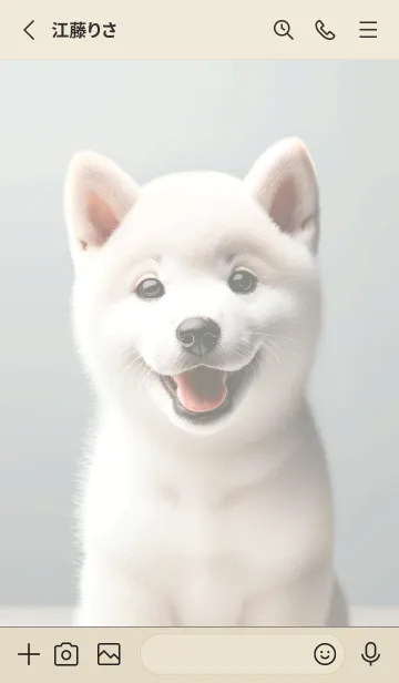 [LINE着せ替え] 癒しわんこの柴犬（白柴）の画像2