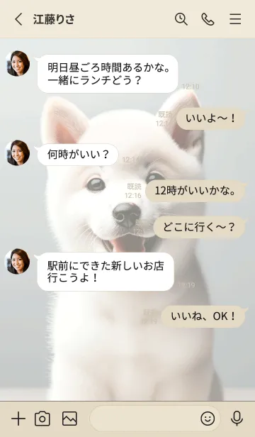 [LINE着せ替え] 癒しわんこの柴犬（白柴）の画像3