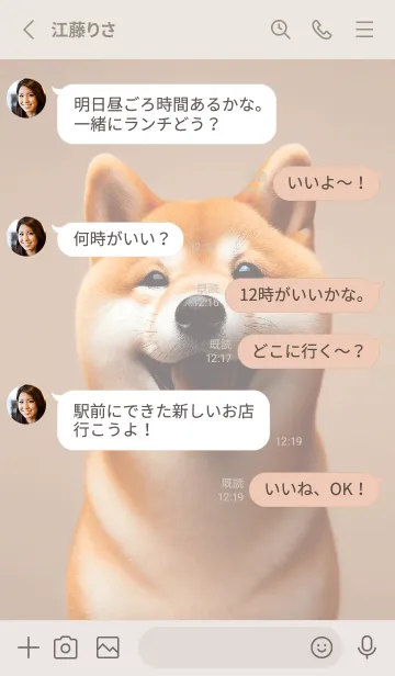 [LINE着せ替え] 癒しわんこの柴犬（赤柴）の画像3