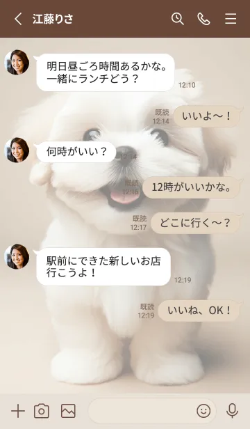 [LINE着せ替え] 癒しわんこのシーズー（ホワイト）の画像3