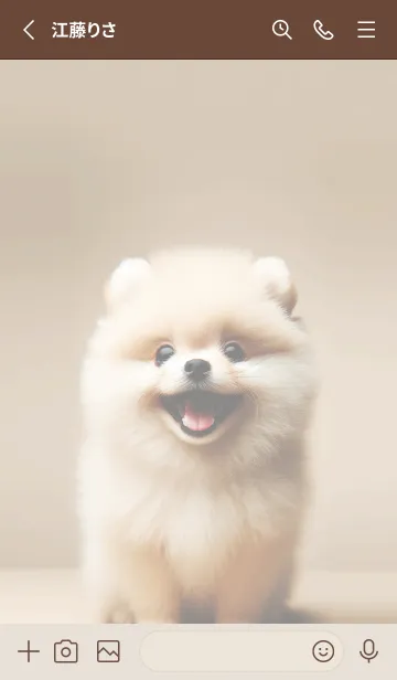 [LINE着せ替え] 癒しわんこのポメラニアン（クリーム2）の画像2