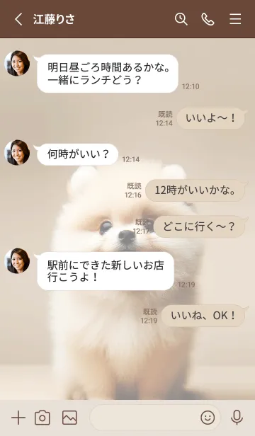 [LINE着せ替え] 癒しわんこのポメラニアン（クリーム2）の画像3