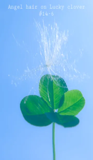 [LINE着せ替え] 幸運の妖精ケサランパサラン #14-6の画像1