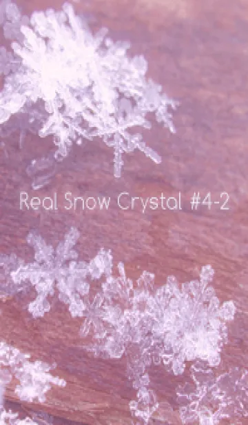 [LINE着せ替え] Real Snow Crystal #4-2の画像1