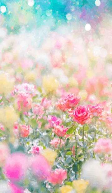 [LINE着せ替え] 薔薇(バラ)の花の着せかえ(R881)の画像1