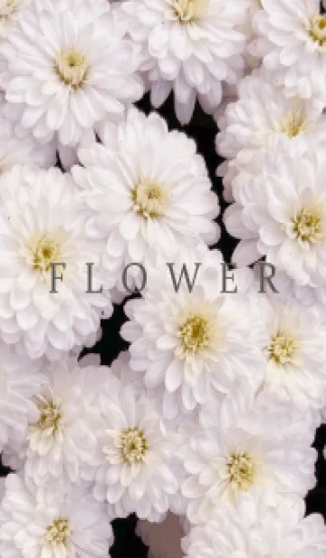 [LINE着せ替え] FLOWER -KIKU- 70の画像1